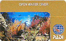 Open Water Diver